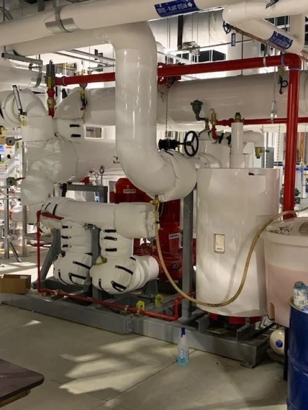 GSK QS-21