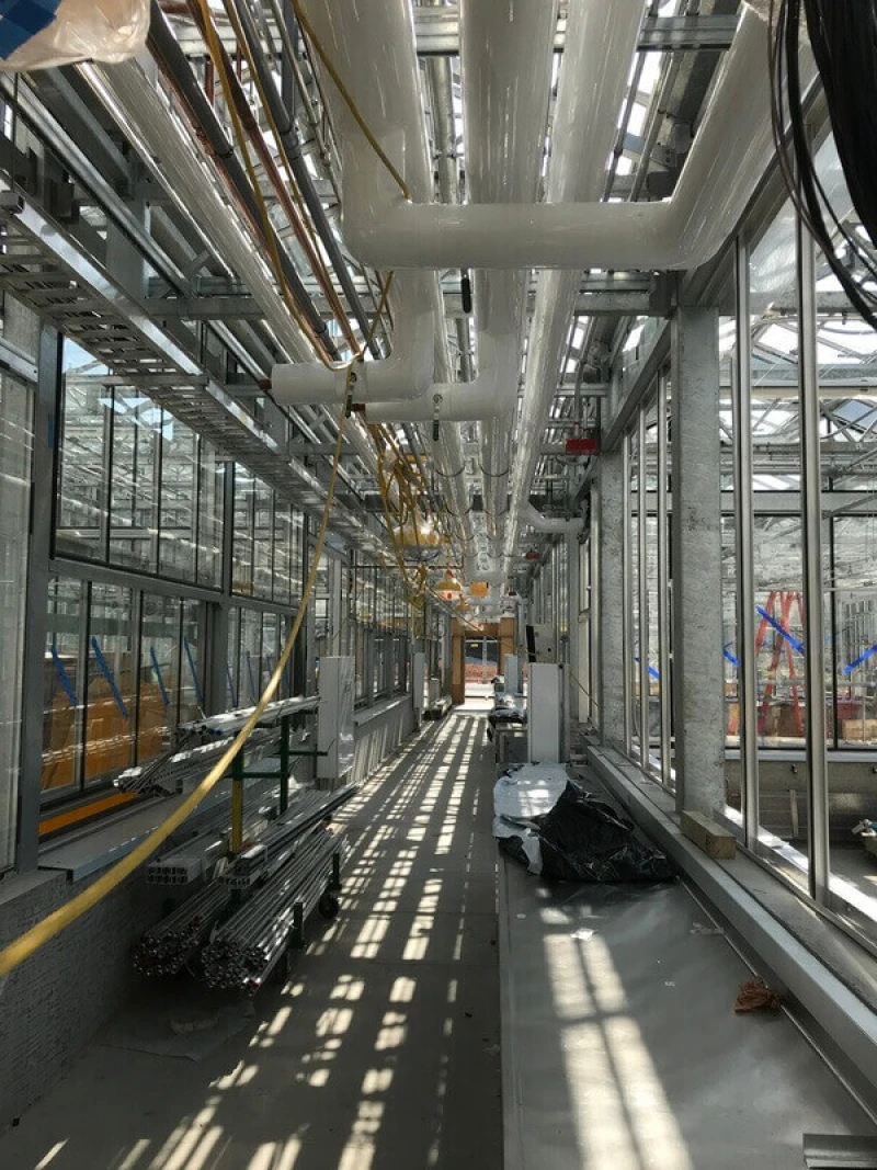 UW Life Science 1